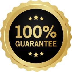 100% guarantee badge